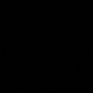 Meet your Posher, Conor